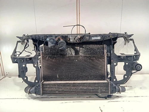 Rivestimento Frontale ANT RIVESTIMENTO FRONTALE ANT Dodge Journey 2009