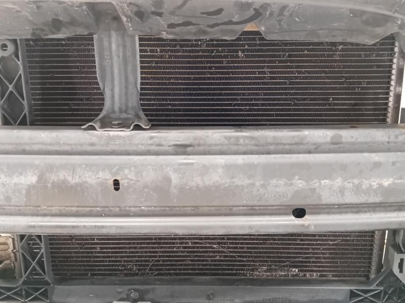 Rivestimento Frontale ANT RIVESTIMENTO FRONTALE ANT Ford Fiesta VI 2012