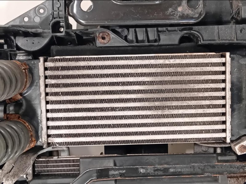 Rivestimento Frontale ANT CV21-8C607-AA Ford Fiesta VI 2012