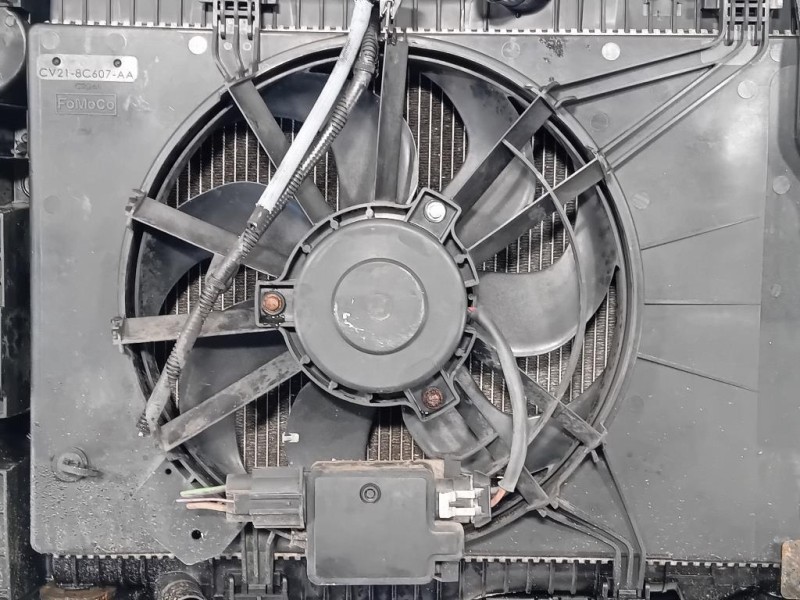 Rivestimento Frontale ANT CV21-8C607-AA Ford Fiesta VI 2012