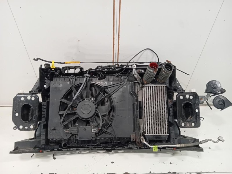 Rivestimento Frontale ANT CV21-8C607-AA Ford Fiesta VI 2012