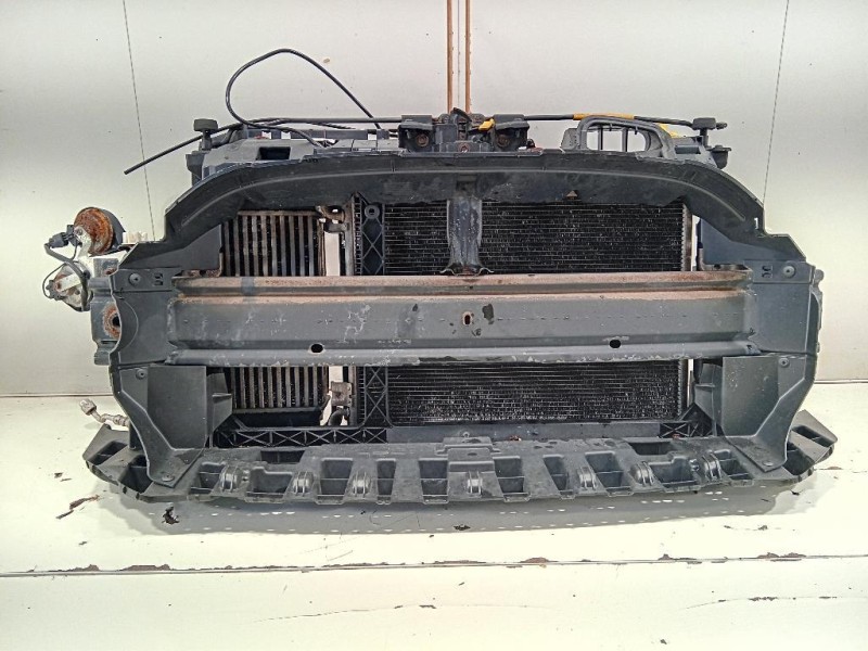 Rivestimento Frontale ANT CV21-8C607-AA Ford Fiesta VI 2012