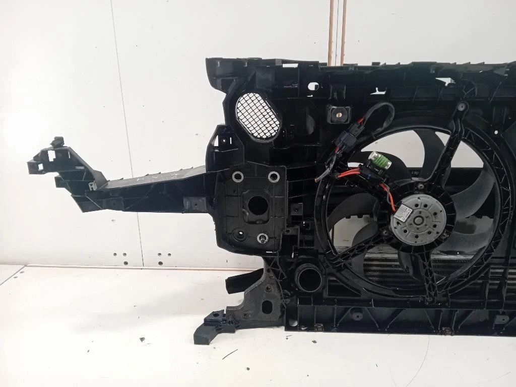 Rivestimento Frontale ANT RIVESTIMENTO FRONTALE ANT Mini Countryman Cooper R60 2010