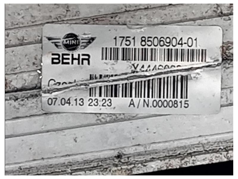 Rivestimento Frontale ANT RIVESTIMENTO FRONTALE ANT Mini Countryman Cooper R60 2010