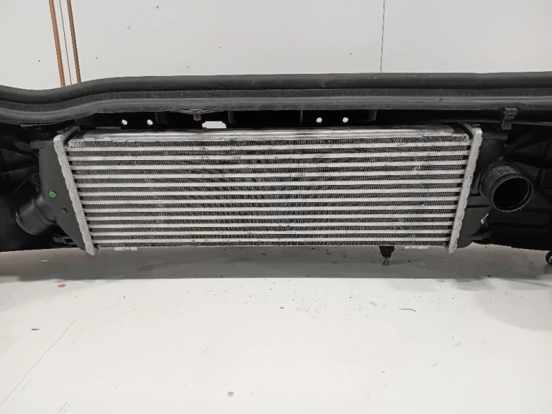 Rivestimento Frontale ANT RIVESTIMENTO FRONTALE ANT Opel Vivaro A 2007