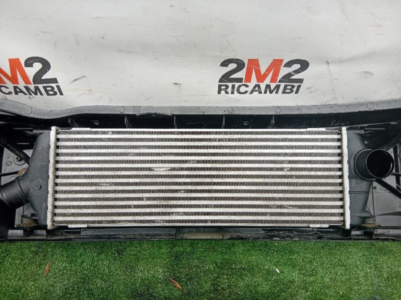 Rivestimento Frontale ANT 93857691 Opel Vivaro A 2007