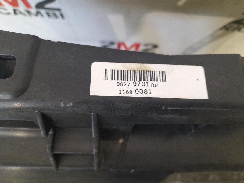 Rivestimento Frontale ANT 9823719380 9827970180 Peugeot 208 II 2019