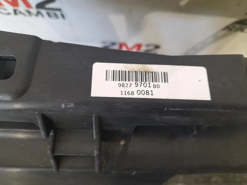 Rivestimento Frontale ANT 9823719380 9827970180 Peugeot 208 II 2019