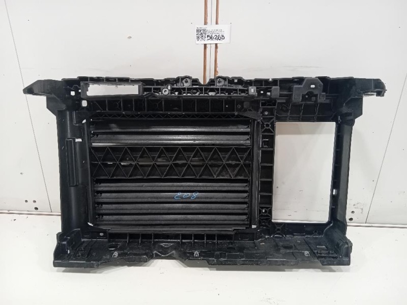 Rivestimento Frontale ANT 9863392280 Peugeot 208 II 2019