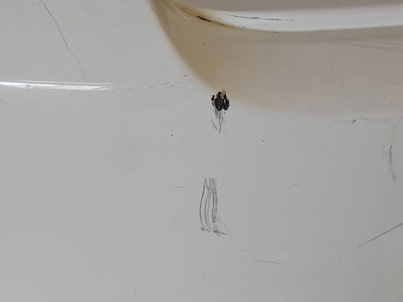 Paraurti POST 50290191 Fiat 500 II 2015