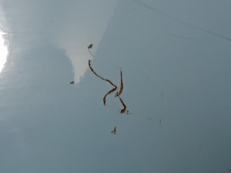 Paraurti POST 735125627 Fiat 500 II 2015