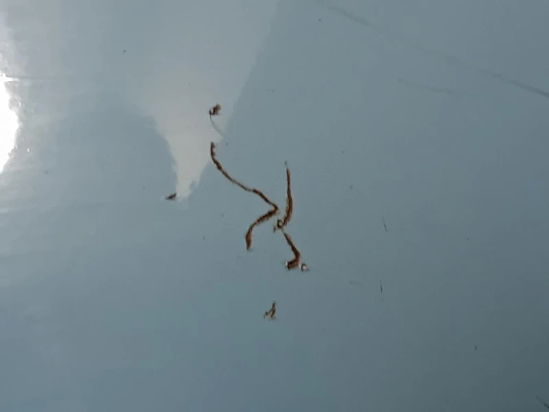 Paraurti POST 735125627 Fiat 500 II 2015