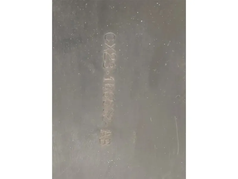 Modanatura Paracolpi Passaruota ANT DX CX23-166562-AB Jaguar XF I 2008