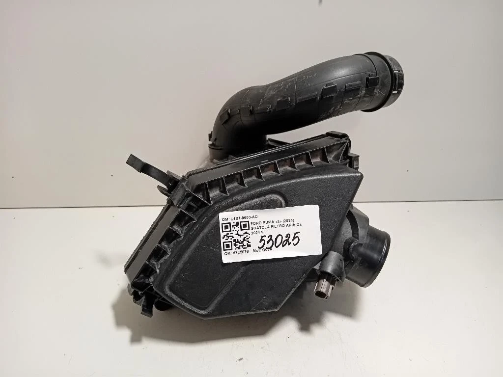 Scatola Filtro ARIA L1B1-9600-AD Ford PUMA II 2024