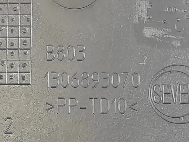 Modanatura Paracolpi Porta INF ANT DX 1306893070 Citroen Jumper III 2014