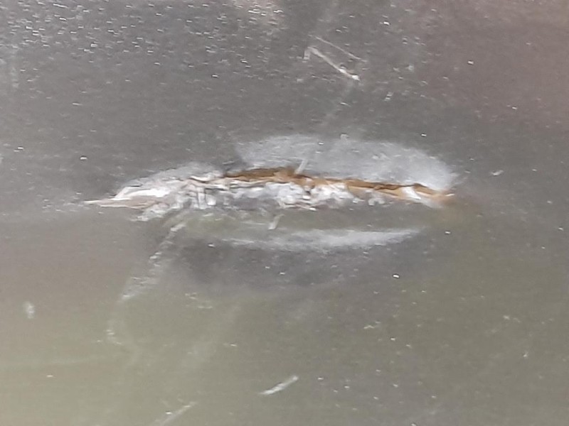 Paraurti POST C2Z2148XXX Jaguar XF I 2008