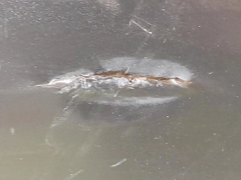 Paraurti POST C2Z2148XXX Jaguar XF I 2008