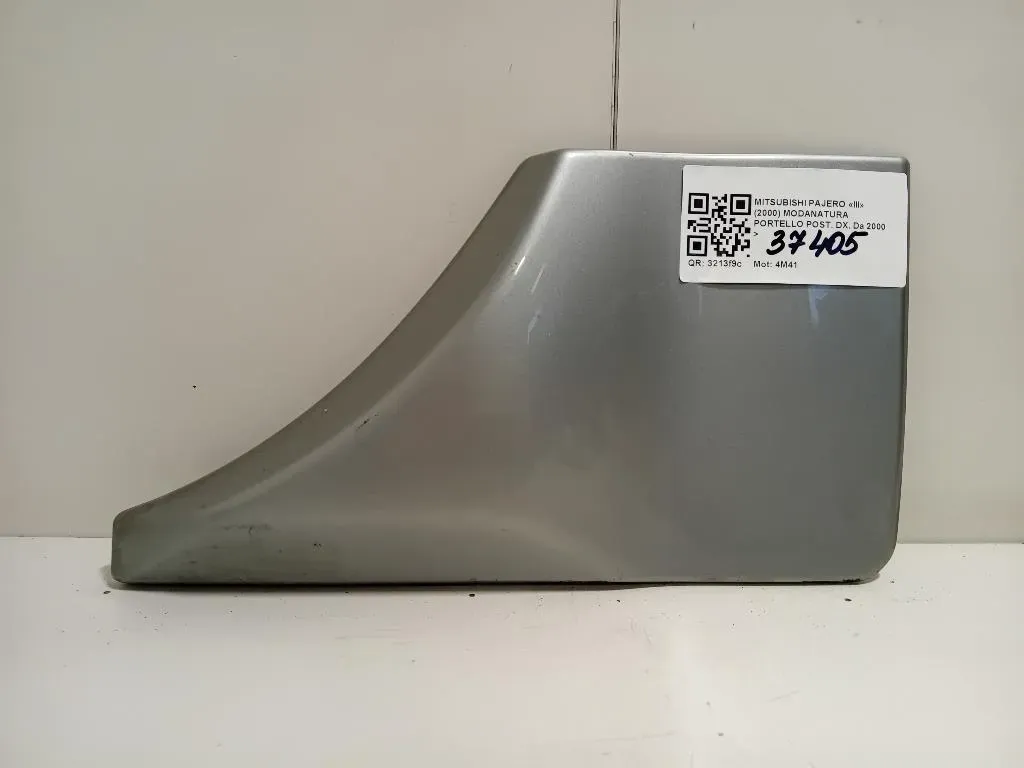 Modanatura Portello POST DX 117244 Mitsubishi Pajero III 2000
