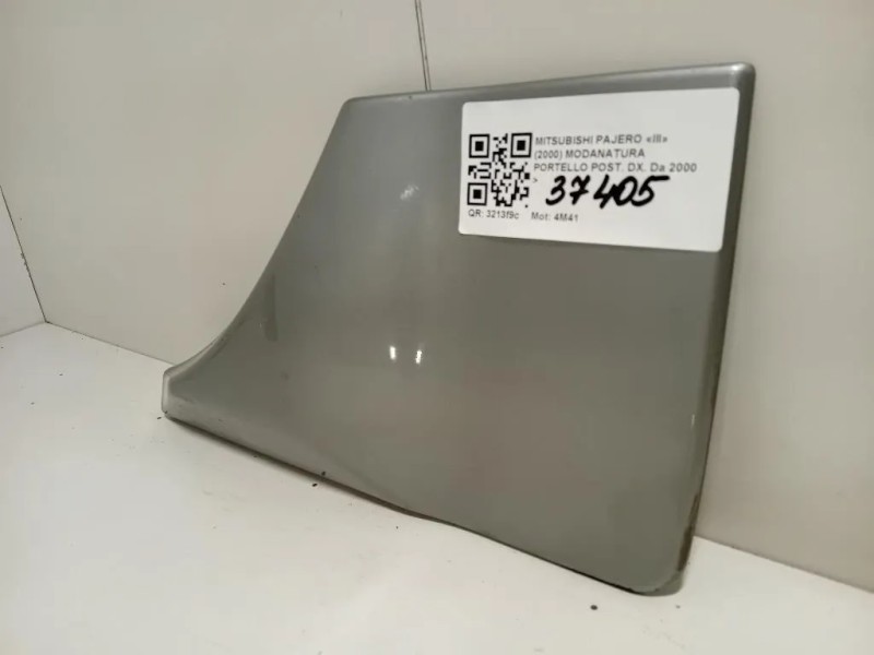 Modanatura Portello POST DX 117244 Mitsubishi Pajero III 2000