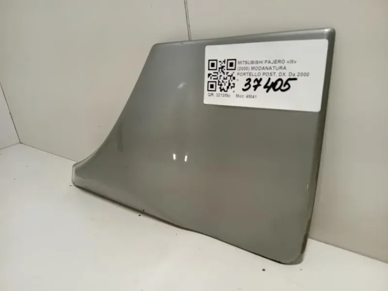 Modanatura Portello POST DX 117244 Mitsubishi Pajero III 2000