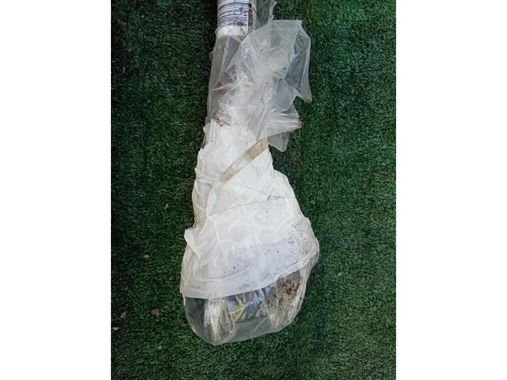 Semiasse ANT DX 51787862 Fiat 500 II 2008