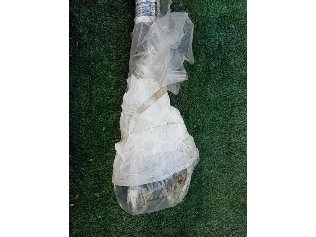 Semiasse ANT DX 51787862 Fiat 500 II 2008