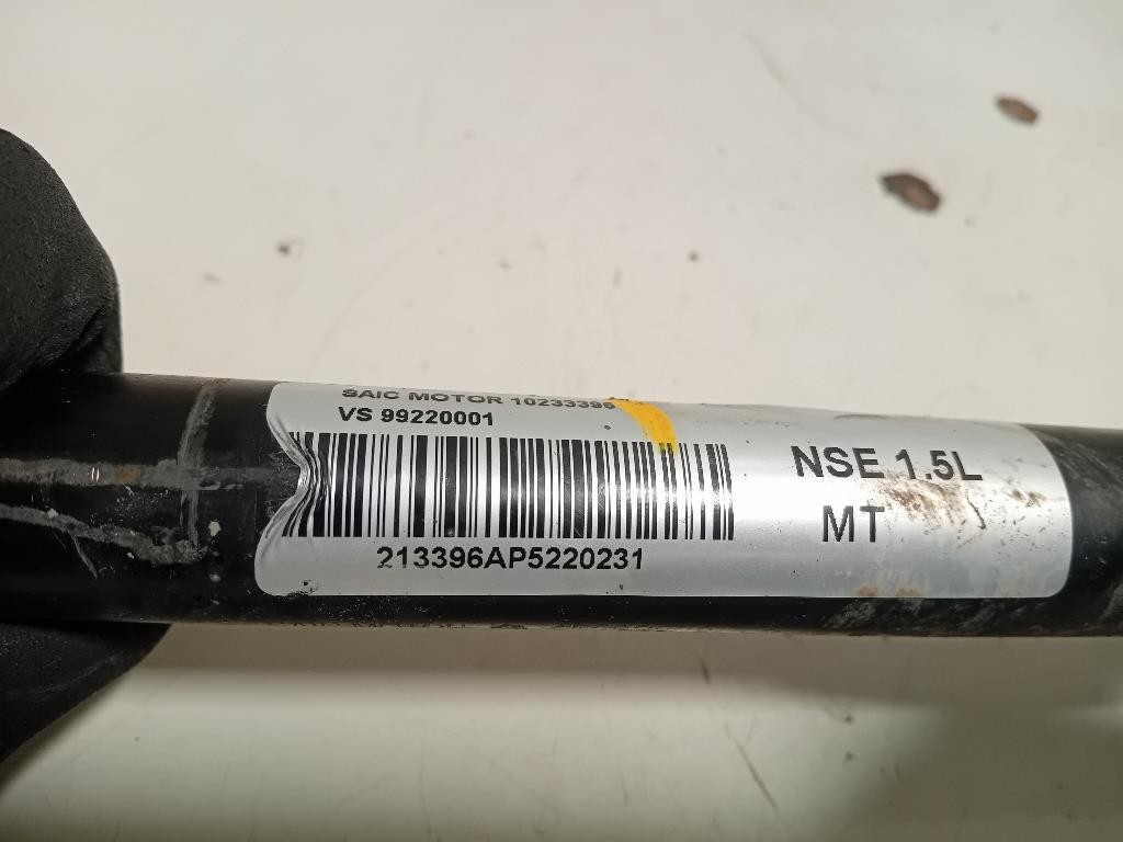 Semiasse ANT SX 10233396 Mg ZS II 2020