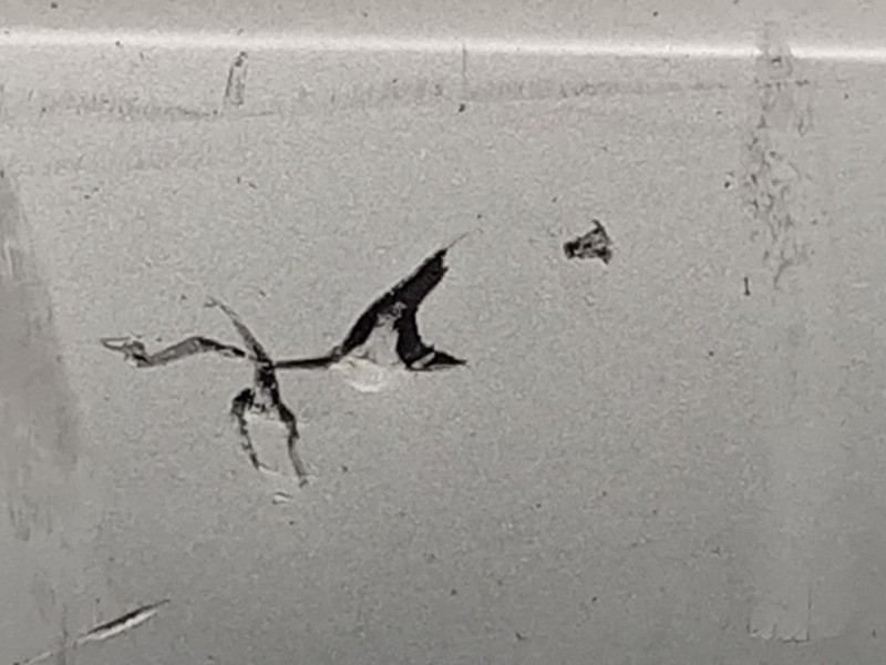 Paraurti POST 95352038 Opel Mokka 2013