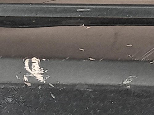 Serratura Porta ANT DX 9810310480 Citroen C4 Grand Picasso II 2016