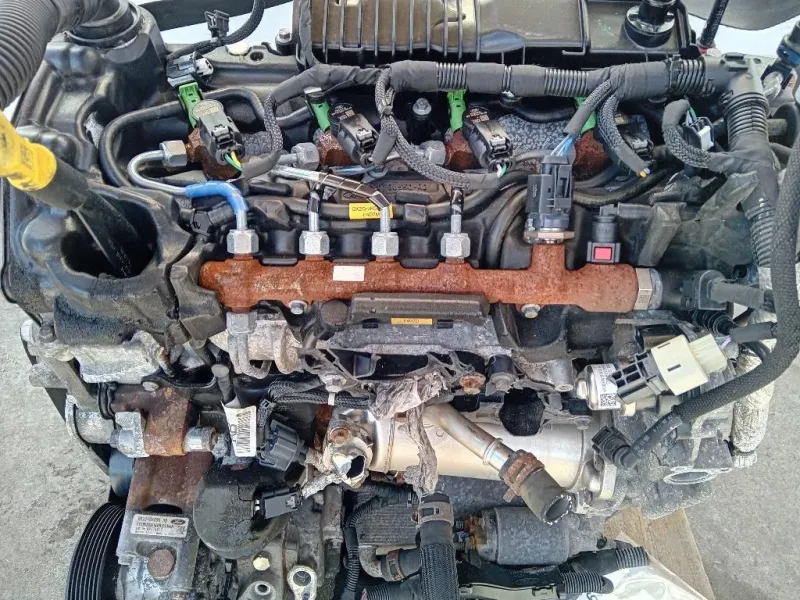 Motore Completo YMF6 131CV 96KW Ford Tourneo Custom I 2013