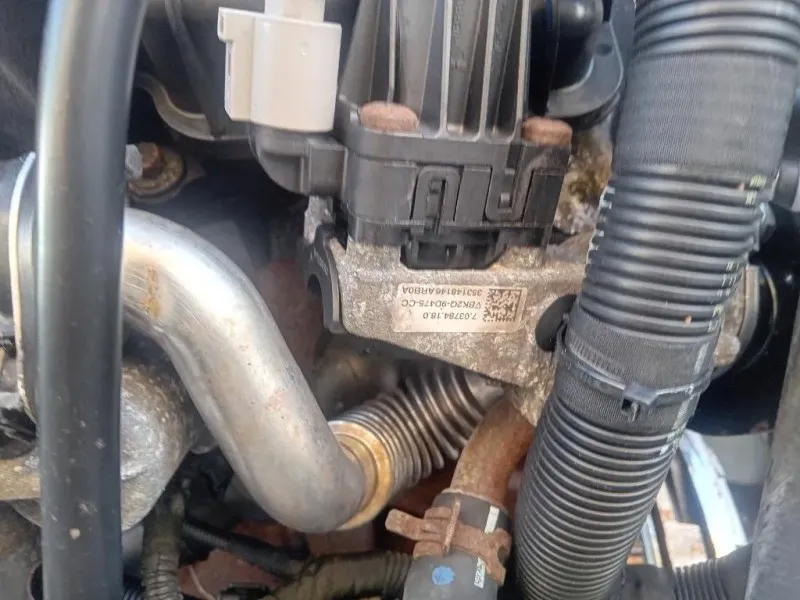 Motore Completo CVFF 155 CV 113 KW Ford Transit Custom I 2013