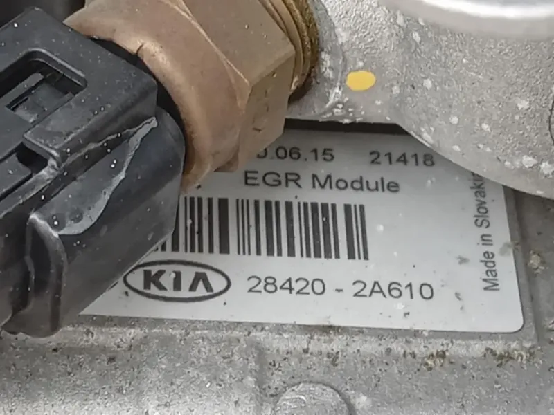 Motore Completo D4FD 115 CV 85 KWEURO 6 Kia Sportage III 2010