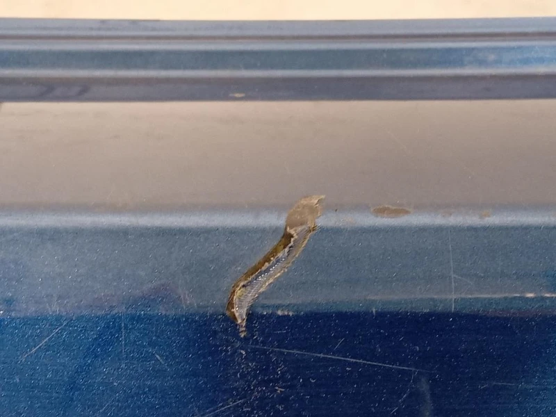 Paraurti POST 7E0807421B 7N0807417B Volkswagen Sharan IV 2010