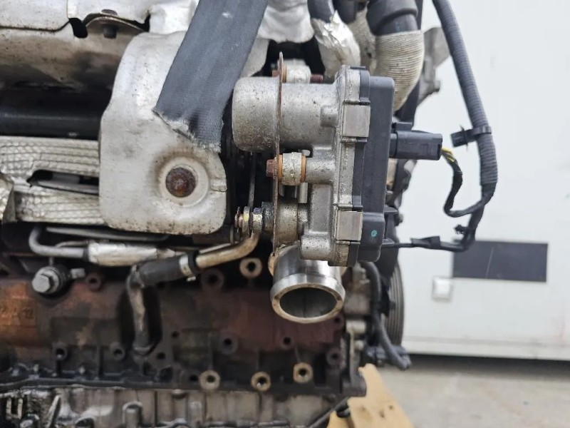 Motore Completo 224DT 150 CV 110 KW Land Rover Range Rover Evoque I 2011