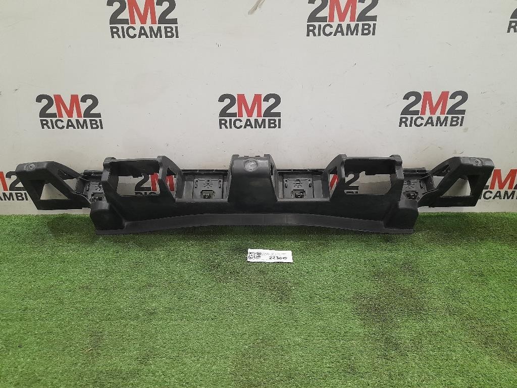 Assorbitore Paraurti POST Citroen C3 Picasso 2009