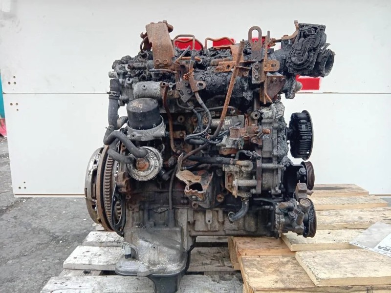 Motore Completo YD25 190 CV 141 KW Nissan Navara 2010