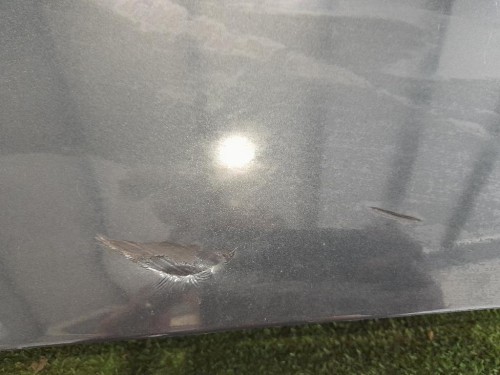 Spoiler Frangivento POST 960309055R Dacia Duster II 2018