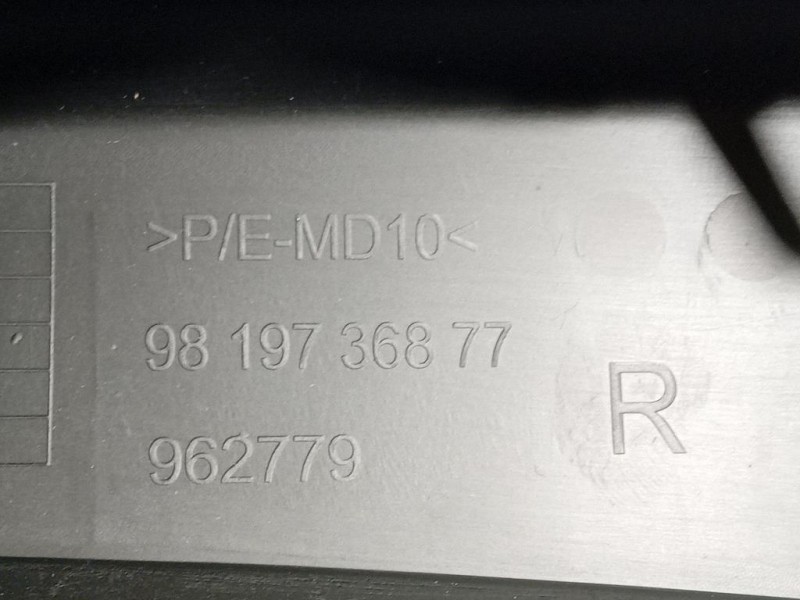 Spoiler Paraurti ANT DX 9819736877 Citroen DS7 Crossback 2017