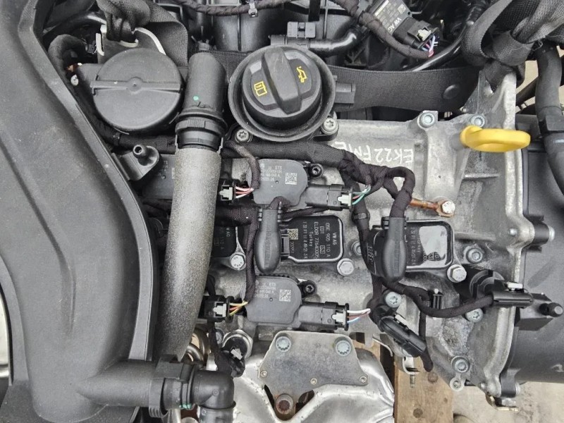 Motore Completo DPCA 150 CV 110 KW Volkswagen Tiguan II 2020