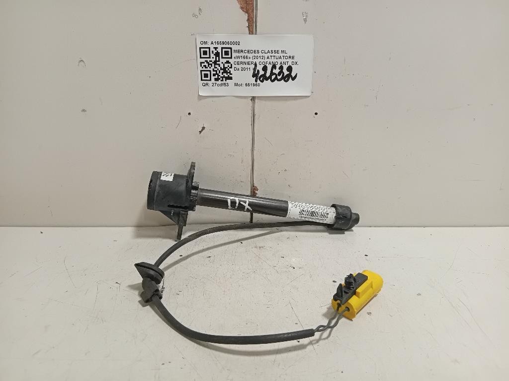 Attuatore Cerniera Cofano ANT DX A1669060002 Mercedes Classe ML W166 2012