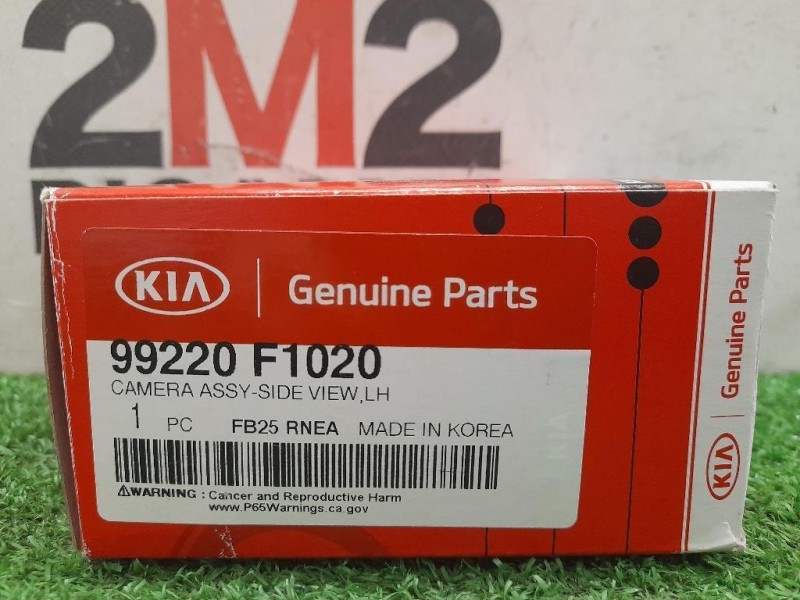 Telecamera 99220F1020 Kia NIRO 2019
