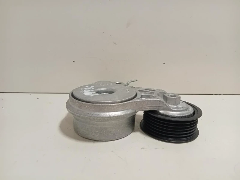 Tendicinghia Accessori AC 1800558 Ford C-max III 2011