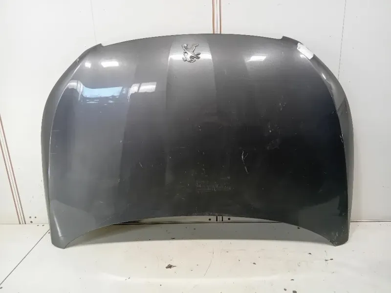 Musata + KIT Radiatori NO PARAFANGO DX Peugeot 308 II 2014