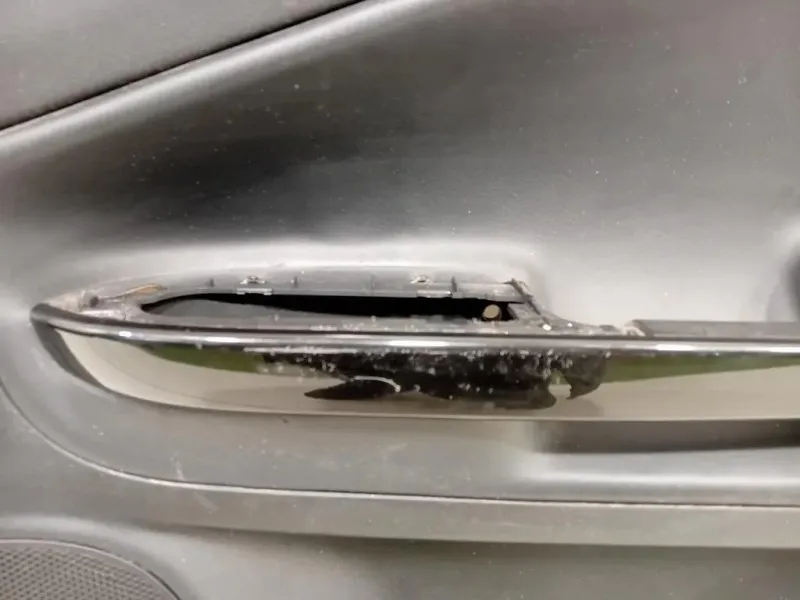 Pannello Rivestimento Porta ANT DX Alfa Romeo Giulietta 2013