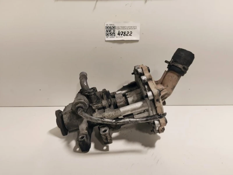 Pompa Acqua 1949737 Ford Transit Custom I 2013