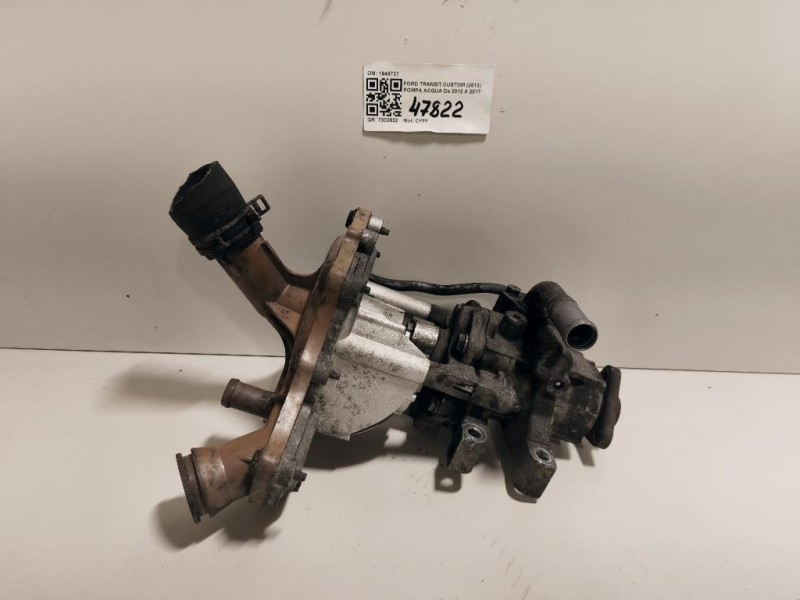Pompa Acqua 1949737 Ford Transit Custom I 2013