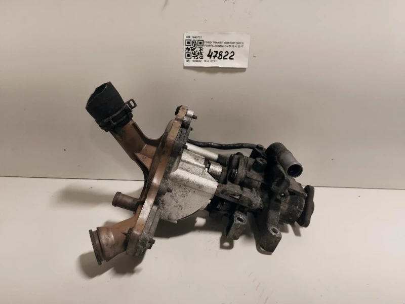 Pompa Acqua 1949737 Ford Transit Custom I 2013