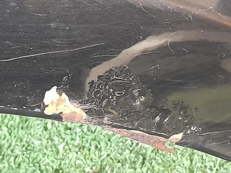 Parafango ANT DX 41357133228 Bmw Serie 1 E87 Berlina 2005