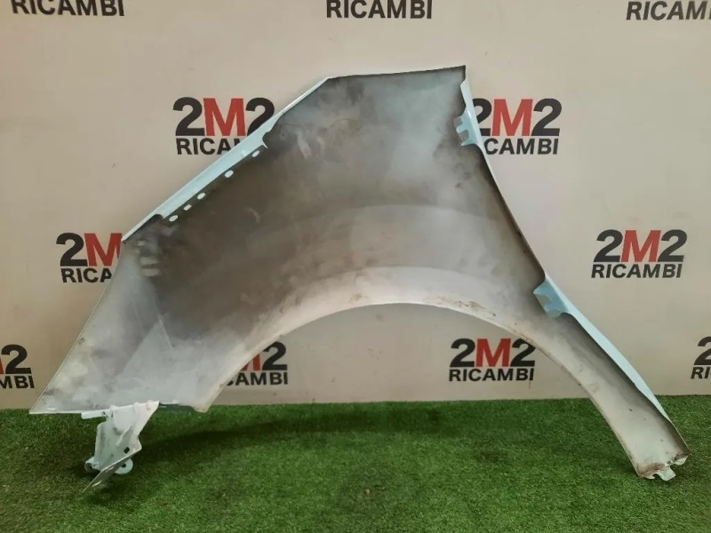 Parafango ANT DX 7841Z7 Citroen C3 II 2010
