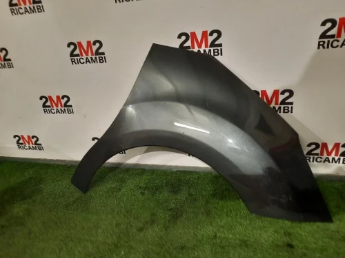 Parafango ANT DX 7841Z7 Citroen C3 II 2010
